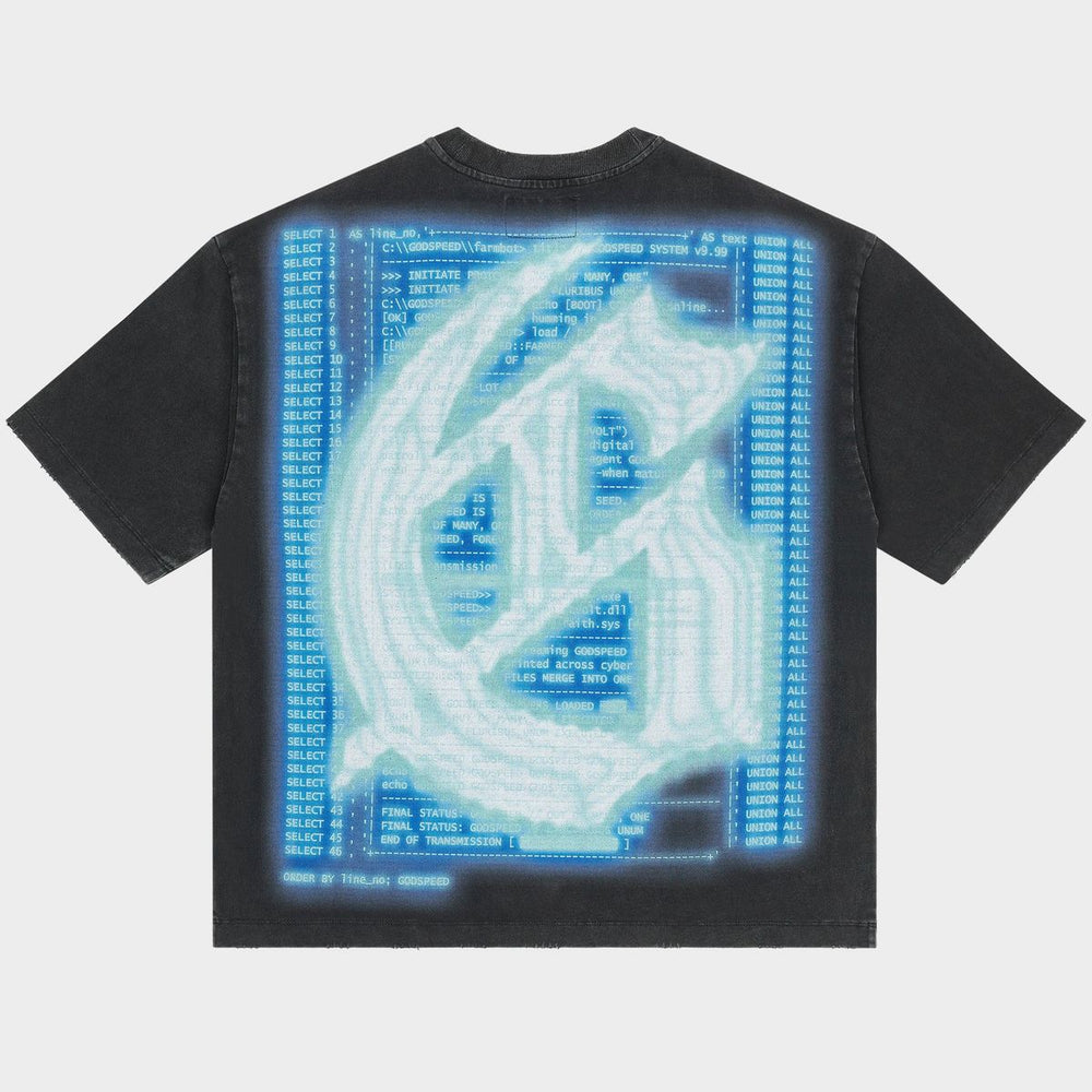 Aura Farm Tshirt (Black Wash)