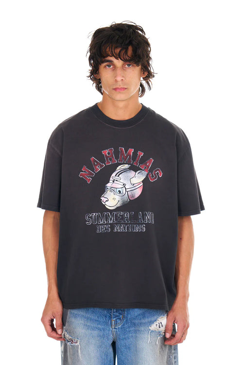 Des Nations Boxy T-shirt